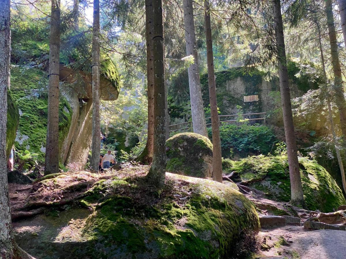 Ferienwohnung Oxana Im Naturpark Fichtelgebirge Schonwald  Exterior foto