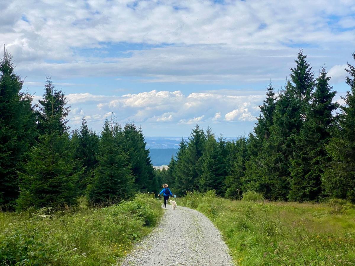 Ferienwohnung Oxana Im Naturpark Fichtelgebirge Schonwald  Exterior foto