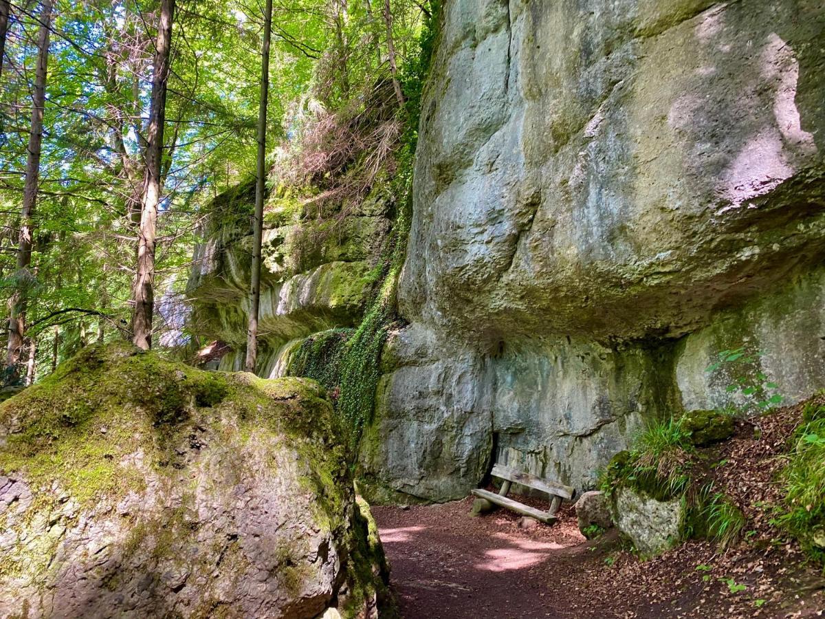 Ferienwohnung Oxana Im Naturpark Fichtelgebirge Schonwald  Exterior foto