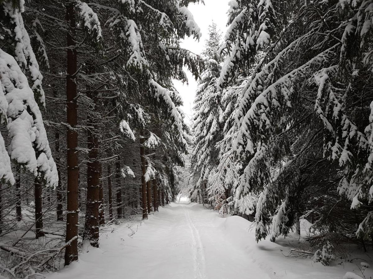 Ferienwohnung Oxana Im Naturpark Fichtelgebirge Schonwald  Exterior foto